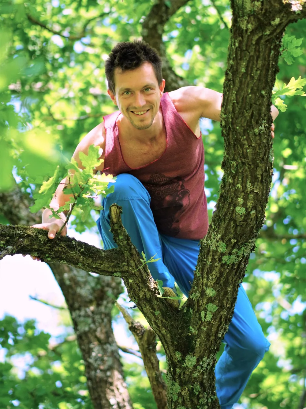 Mito smiling while climbing an oak tree